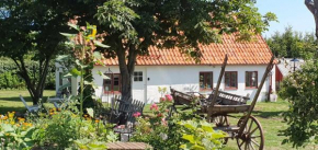 Norrekås Beach Studios, Borrby